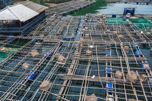 fish farm with fishing cages on the water in a sea bay in Vietnam in Asia in summer