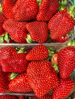 Fresh ripe strawberries fill plastic containers, showcasing their vibrant red color and texture. Ideal for promoting healthy eating. Made on smartphone.