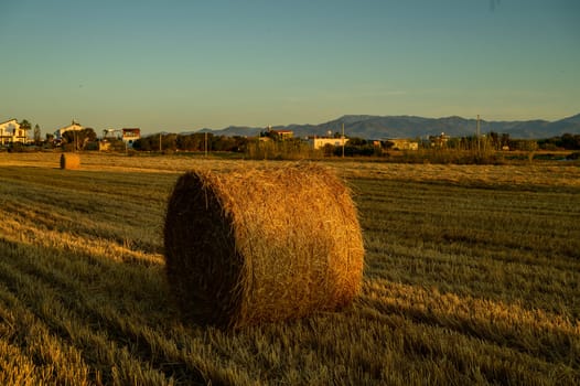 Harvest Sunset Over Straw Bales in Cyprus