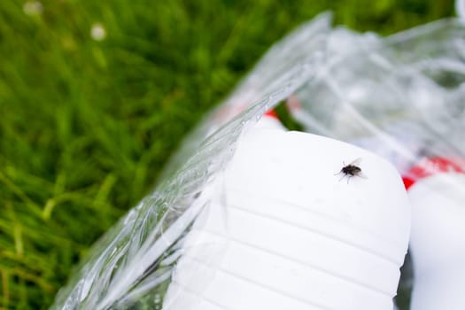 Fly on plastic bottle litter in grass highlighting environmental pollution. High quality.