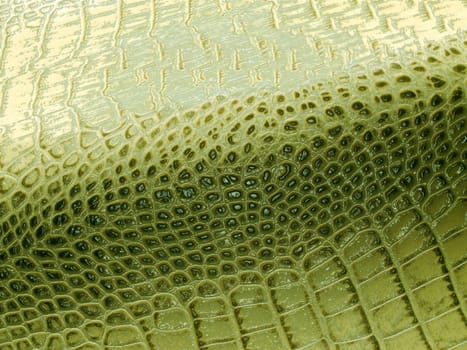 Green crocodile or alligator skin textured background showing scales pattern, creating an abstract design