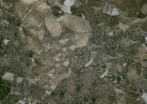 Intricate patterns emerge on a textured background, evoking cracked stone, dried mud, or an abstract artistic expression