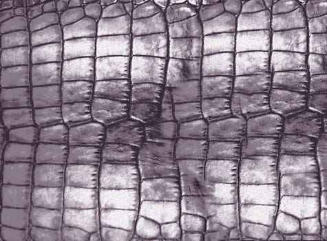 Close-up view of luxurious crocodile leather texture in elegant purple tones, showing exquisite detail and pattern