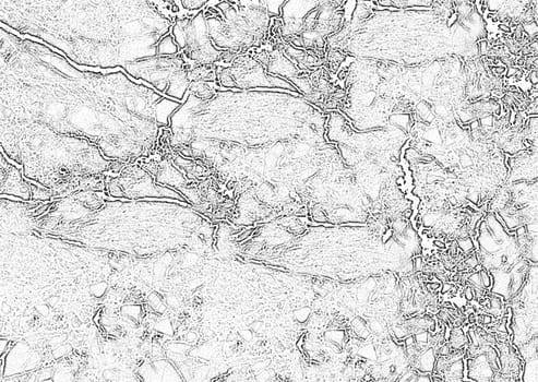 Intricate black lines form a captivating cracked pattern on a white background, creating a visually striking abstract texture