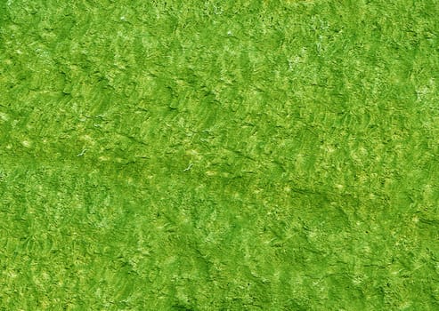 Close-up view of a rough green stone surface creating a natural, textured backdrop