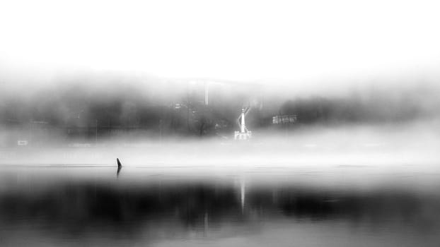 The thick fog lends an air of mystery to the scene, softening the edges of the landscape and blurring the boundaries between reality and imagination.