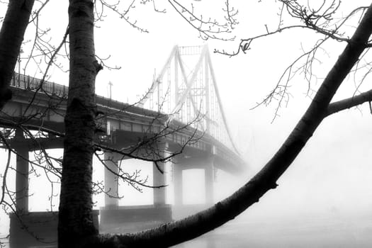 A solitary bridge emerges from the ethereal embrace of mist, casting an enchanting aura over the tranquil waters below.