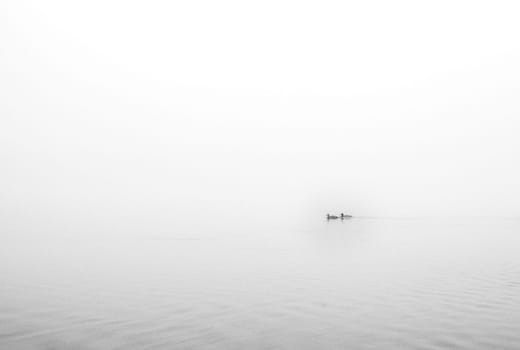 The dense mist obscures the details of the landscape, veiling the quayside in an enigmatic shroud. High quality photo