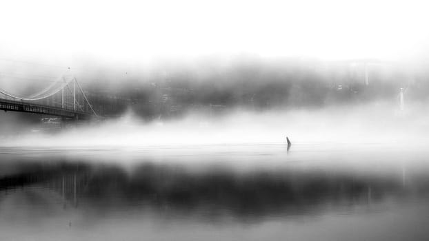 The thick fog lends an air of mystery to the scene, softening the edges of the landscape and blurring the boundaries between reality and imagination.