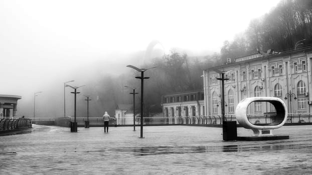 Encased in a dense layer of mist, the waterfront becomes a mysterious and captivating domain. High quality photo