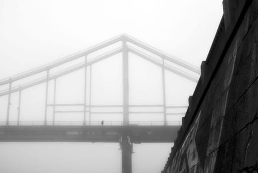 The thick fog lends an air of mystery to the scene, softening the edges of the landscape and blurring the boundaries between reality and imagination.