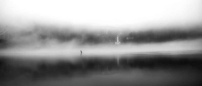 The thick fog lends an air of mystery to the scene, softening the edges of the landscape and blurring the boundaries between reality and imagination.