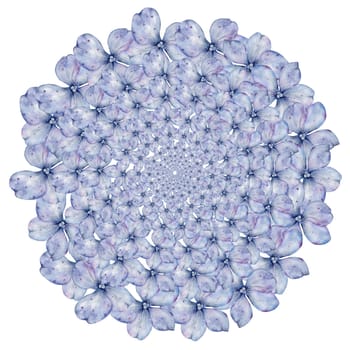 Blue hydrangea flowers watercolor circle. Hand drawn delicate flower on isolated white background. Botanical illustration. Ideal for wedding and birthday cards. High quality illustration