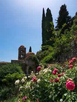 Beautiful view of Pantanassa monastery, Mystras, Greece. Summer midday sunshine, rose bushes and cypress trees, Mediterranean garden and Eastern Orthodox architecture.