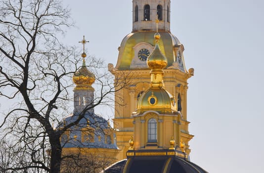 the Peter and Paul Fortress spire at sunset. High quality photo