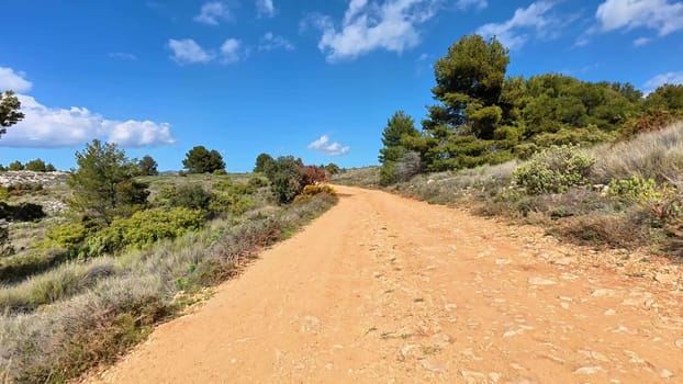 A beautifully scenic dirt road winding gracefully through vibrant and lush greenery on a wonderfully sunny day