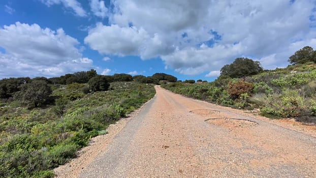 A beautiful and picturesque dirt road, surrounded by lush greenery, stretches under a vividly colored sky
