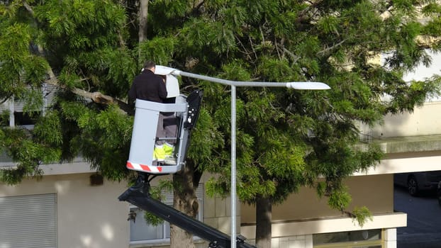 Two unrecognizable electricians operate hydraulic lift to repair street light in residential area with lush greenery on clear sunny day. Elevated platform, public infrastructure, lamp post, essential urban maintenance, checks and public safety work