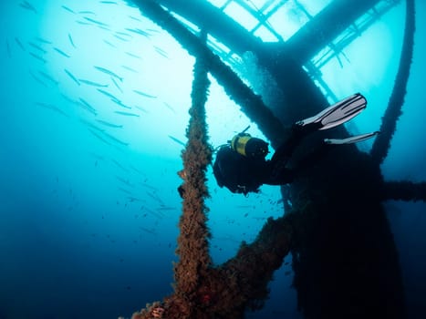 diver diving through a sunken structure in the sea with a school of barracuda fish in the background, scuba diving and underwater wildlife concept, copy space for text