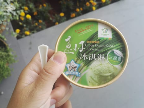 Close-Up of Hand Holding Green Onion Flavored Ice Cream in Unique Packaging