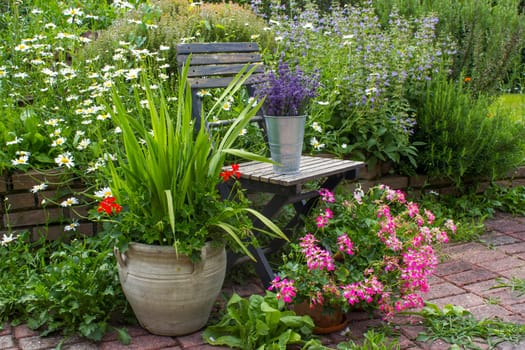 herb spiral in the garden with fresh herbs and flowers