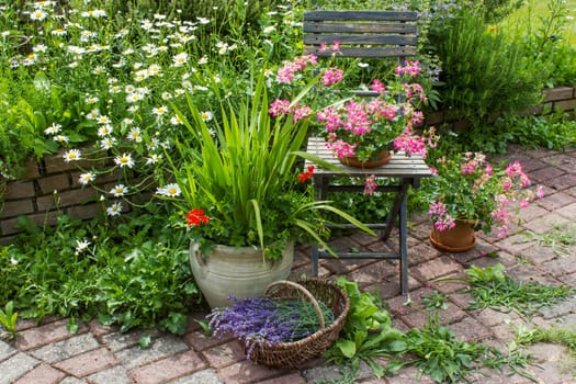 herb spiral in the garden with fresh herbs and flowers