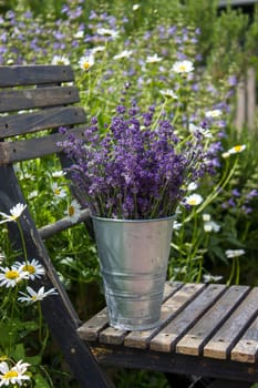 Beautiful fresh lavender flowers in a vase on chair