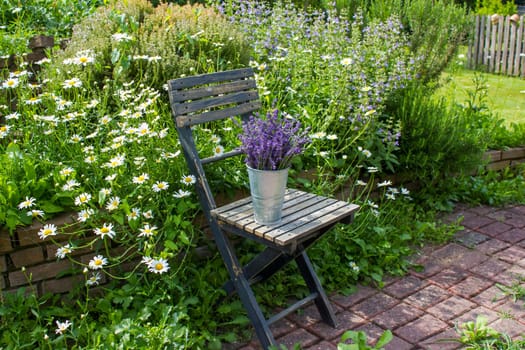 herb spiral in the garden with fresh herbs and flowers and old chair with lavender