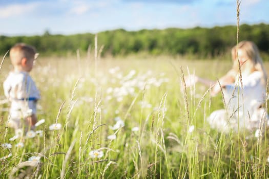Blurred background of a summer field, on which a mother stretches her arms towards her child, the baby goes to her mother in her arms. High quality photo