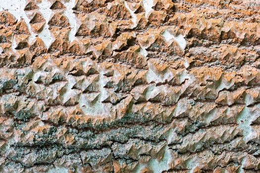Texture of white birch tree bark, background image. High quality photo