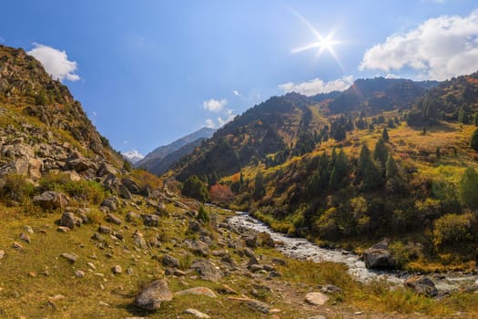 View across Zhylamysh Gorge showing a river, steep rocky cliffs, and slopes covered in green conifers and vibrant autumn foliage under a sunny sky.