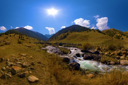 Rocky mountain river cascades through a Zhylamysh Gorge. Sunlit slopes covered with grass and scattered juniper trees rise under a bright blue sky with clouds.