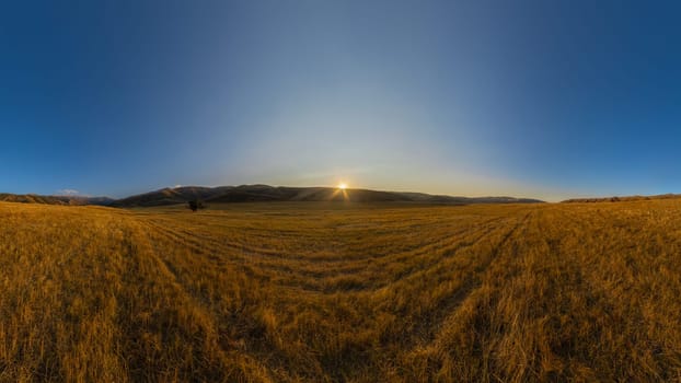 harvested moved agricultural field with straw stubble surrounded with foothills at autumn sunset with blue sky