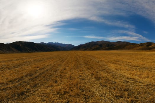 Panoramic view of a vast, harvested field leading to distant mountains under a dynamic blue sky. Expansive rural agricultural landscape.