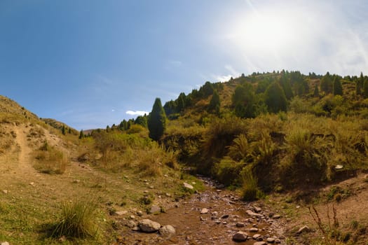 Shallow rocky creek winds through sunlit hills covered with grass, shrubs, and juniper trees. Bright sun flare in a clear blue sky. Mountain nature.