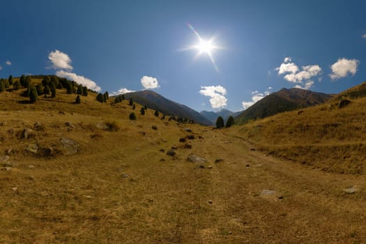 Panoramic view up a wide, sunlit mountain valley. Dry grass, scattered rocks, and juniper trees lead towards distant peaks under a blue sky with clouds in Zhylamysh, Gorge