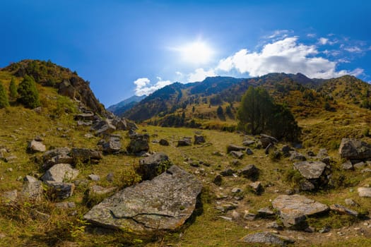 Sunlit mountain slope covered with grass and scattered large boulders. Juniper trees dot the landscape leading to higher peaks. Blue sky with clouds.
