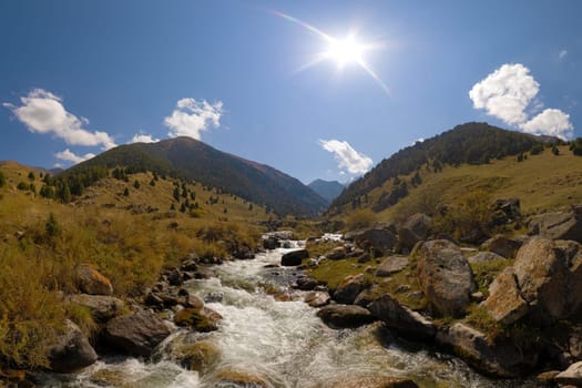 Rocky mountain river cascades through a Zhylamysh Gorge. Sunlit slopes covered with grass and scattered juniper trees rise under a bright blue sky with clouds.