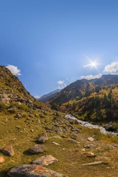 View across Zhylamysh Gorge showing a river, steep rocky cliffs, and slopes covered in green conifers and vibrant autumn foliage under a sunny sky.