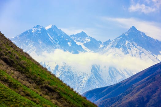 Snow-capped peaks rise above clouds in the Tian Shan mountains. Green slopes under a blue sky.