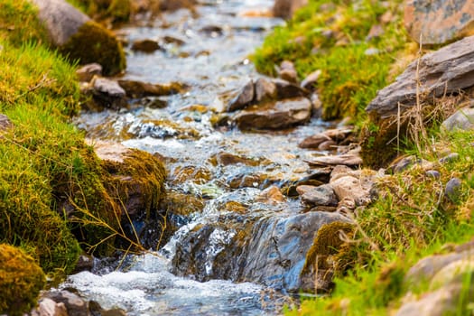 Close-up of a small, clear stream with fresh water running over rocks covered in moss and surrounded by green grass.