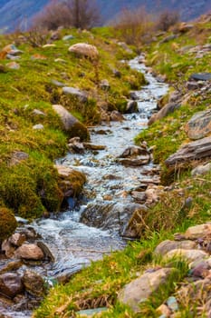 Close-up of a small, clear stream with fresh water running over rocks covered in moss and surrounded by green grass.