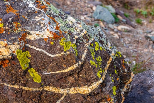 A close-up of a dark, textured rock featuring bright white veins and patches of yellow-green and orange lichens.