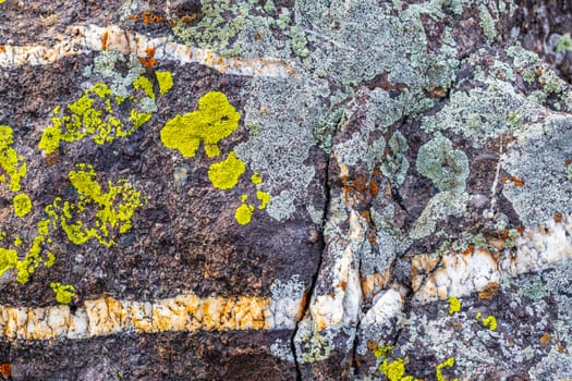 A close-up shows a dark rock with white veins, covered in yellow-green, pale gray, and hints of orange lichens.