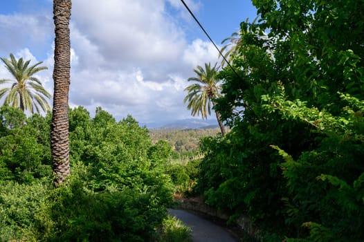 Scenic view of distant mountains framed by a lush green street with trees and traditional houses in Cyprus.
