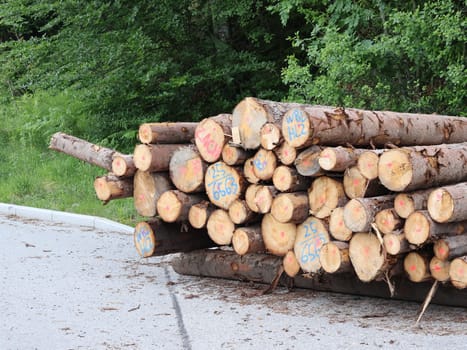 Stack of Processed Timber Logs Ready for Industrial Use. A large stack of processed timber logs lies beside a road near a forest, prepared for industrial transport and further processing. This image highlights the forestry and wood supply chain in action, illustrating natural resource utilization and timber production.