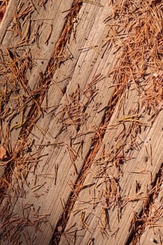 The raw textures of Finnish nature in fall - a rich autumn palette of earthy tones: ochre, brown, and muted yellow. The beauty of the Nordic forest wilderness as a serene seasonal background