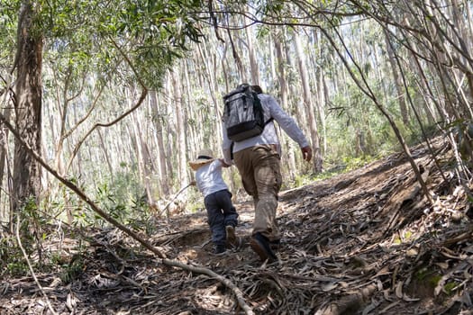 Father and son enjoying a hike together, exploring nature and making memories