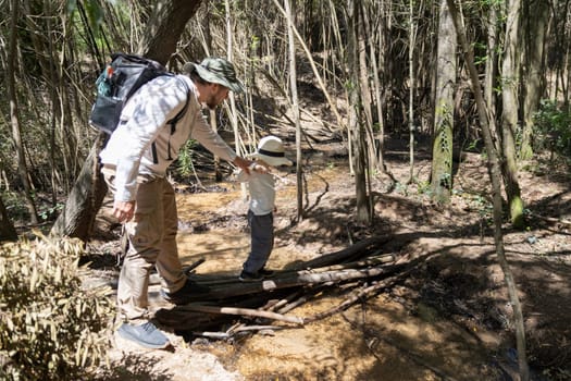 Father helping his son cross a small creek using a makeshift bridge made of branches, during a hike in a sunny forest