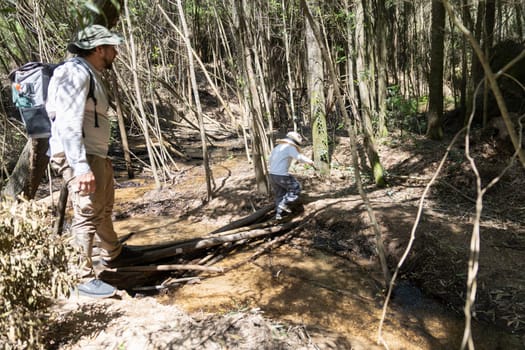 Father and son enjoying a hike through the woods, carefully crossing a small creek using fallen branches as a makeshift bridge
